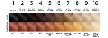 Hair color level and undertones - Garnier