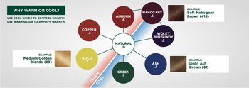 Hair color tones diagram - Garnier