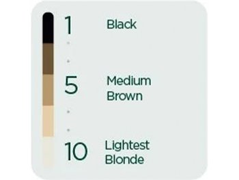 Learn about the color guide for hair - Garnier