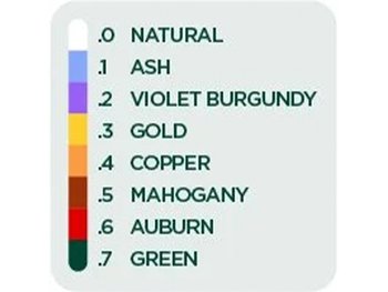 What level is my hair color? - Garnier
