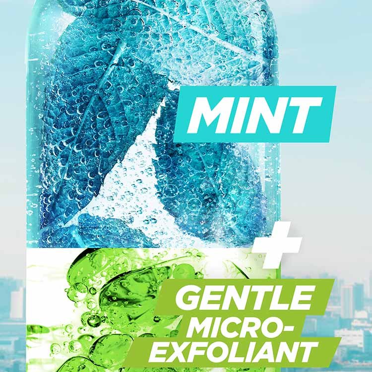 Garnier mint scalp scrub