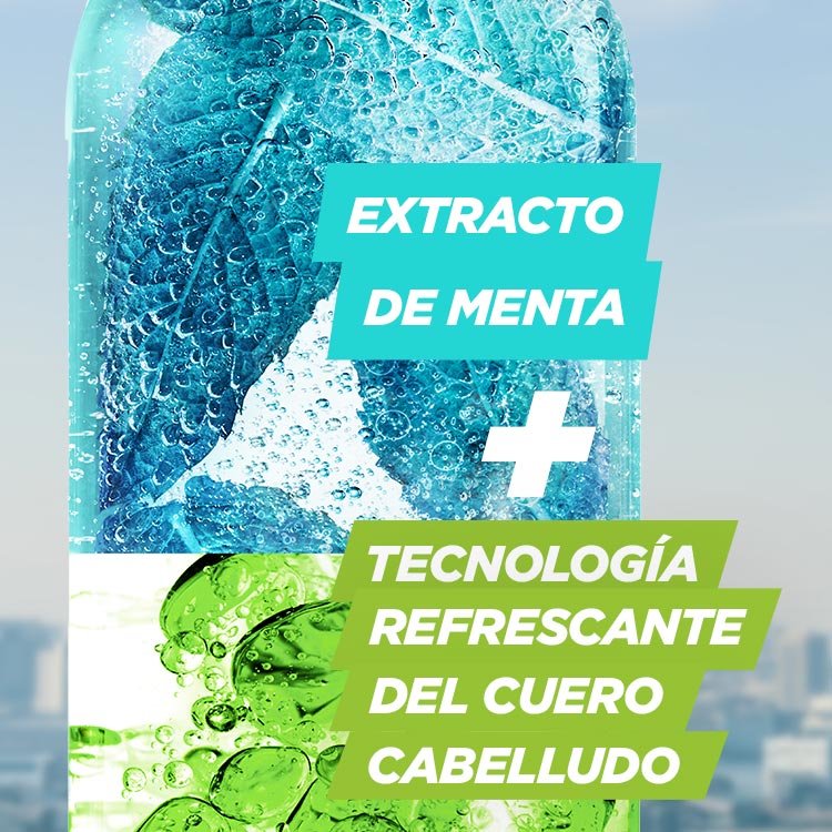 Peppermint shampoo Garnier fructis
