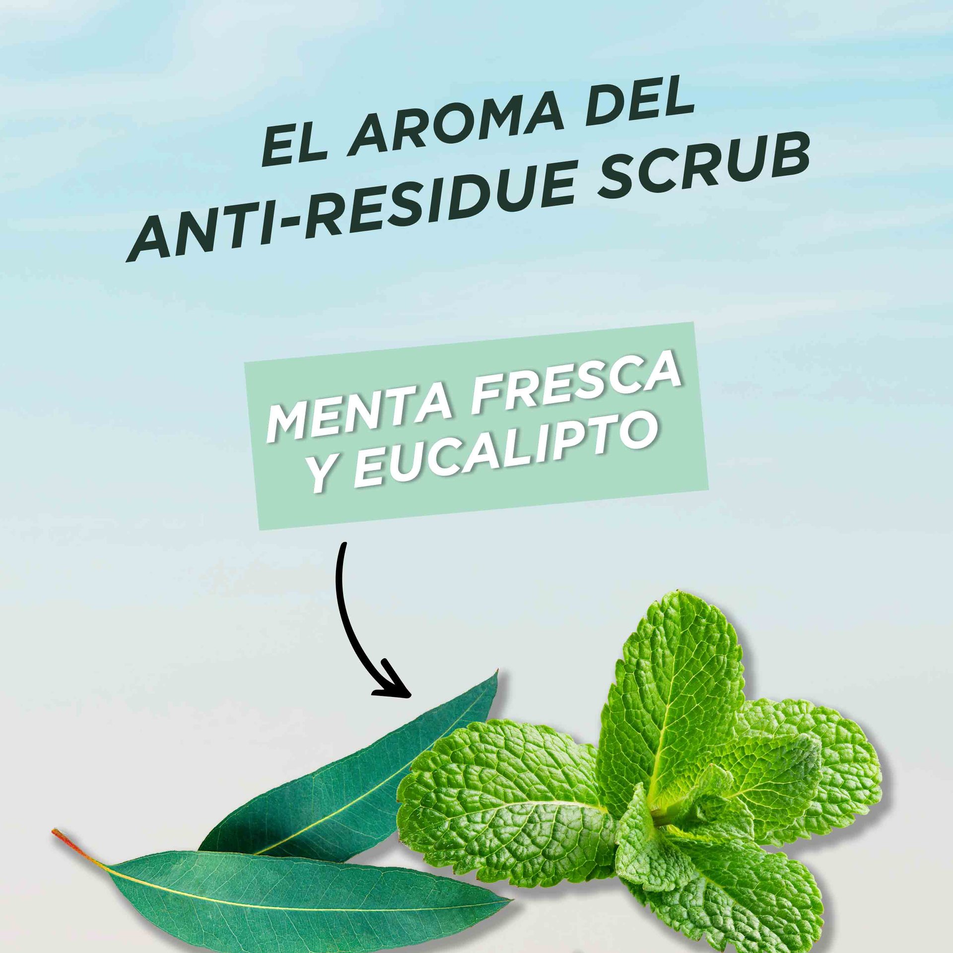 Garnier Pure Clean Hair Reset Anti-Residue Scrub Mint Eucalyptus