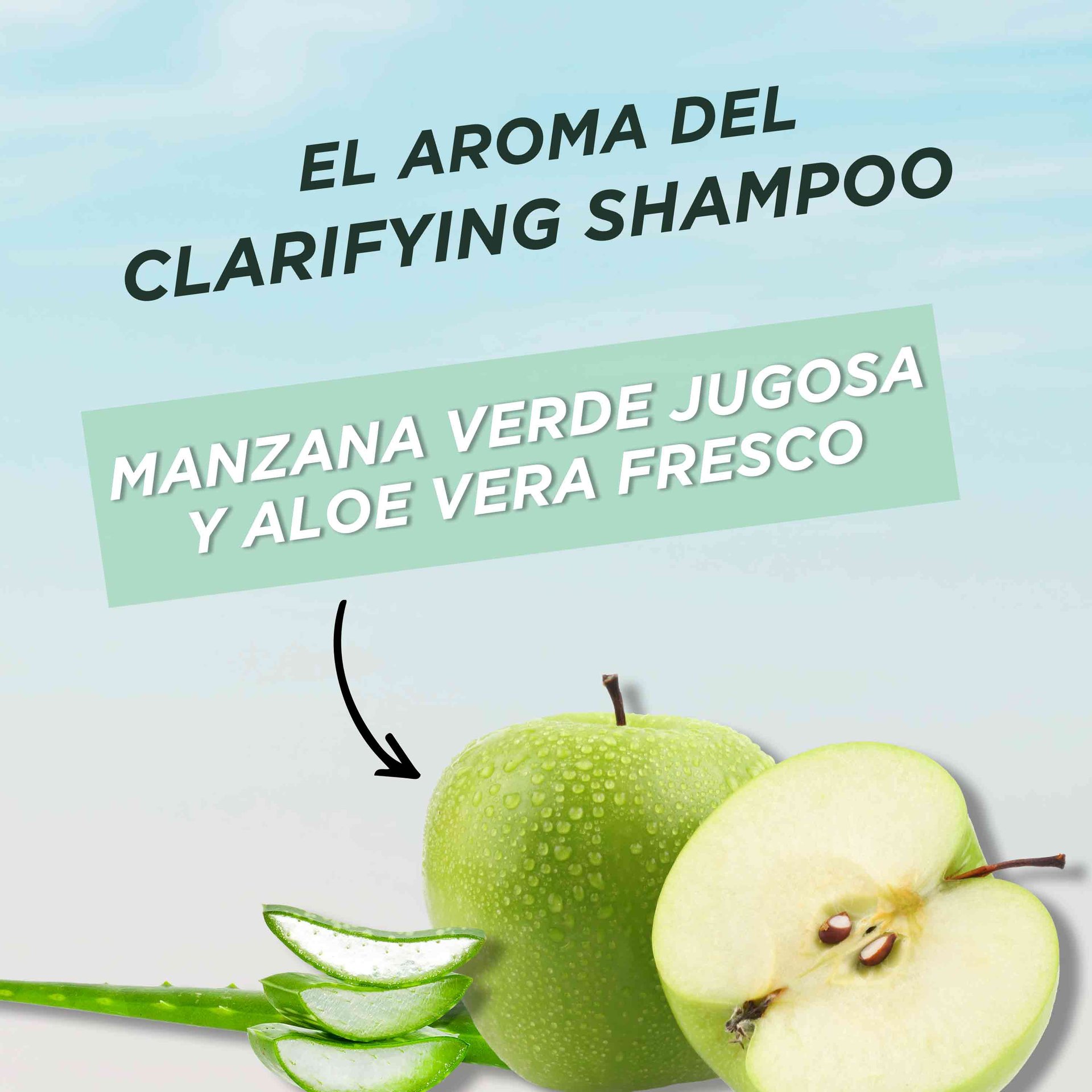 Garnier Pure Clean Hair Reset Clarifying Shampoo Apple Aloe Vera