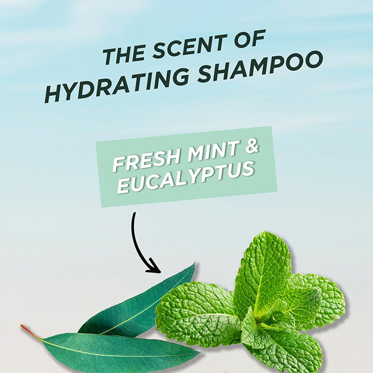 Garnier Pure Clean Hair Reset Hydrating Shampoo Mint Eucalyptus