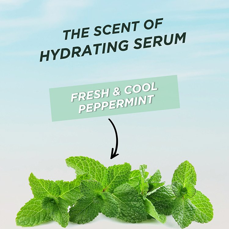 Garnier Pure Clean Hair Reset Hydrating Serum Peppermint