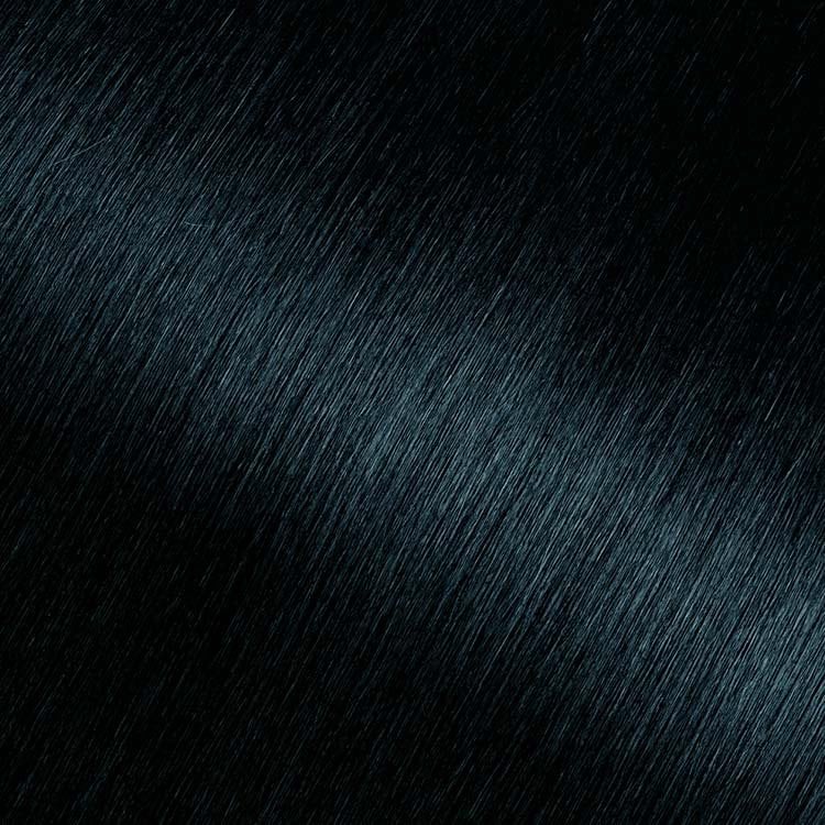 Olia Ammonia-Free Black Sapphire Hair Color | Garnier