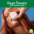 Garnier Whole Blends Ginger Recovery Strengthening Shampoo