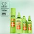 Garnier Fructis Sleek Gloss hair care collection — cruelty-free, vegan, 100% recyclable packaging with argan oil for frizz control and intense shine.