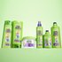Fructis Flexi Hold Curls Gel vegan formula - Garnier