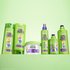Complete Garnier Fructis curly hair care collection: featuring Curl Nourish shampoo and conditioner, Flexi Hold Curls gel, Curl Knot Melter, and Curl Air Dry Cream for a full frizz-free routine.