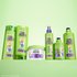 Complete Garnier Fructis curly hair care collection: featuring Curl Nourish shampoo and conditioner, Flexi Hold Curls gel, Curl Knot Melter, and Curl Air Dry Cream for a full frizz-free routine.
