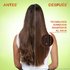 Before and After Use of System (Shampoo, Conditioner, Serum)