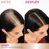 A 'Before and After' comparison showing the top of a woman's head. The 'Before' image displays visible gray hair at the roots along her part, while the 'After' image shows her hair uniformly dyed black with no gray roots visible." (Default Alternate Text: "A 'Before and After' comparison showing the top of a woman's head. The 'Before' image displays visible gray hair at the roots along her part, while the 'After' image shows her hair uniformly dyed black with no gray roots visible.