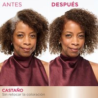 A 'Before and After' comparison showing the top of a woman's head. The 'Before' image displays visible gray hair at the roots along her part, while the 'After' image shows her hair uniformly dyed brown with no gray roots visible.