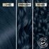 For all hair types – straight, wavy, and curly