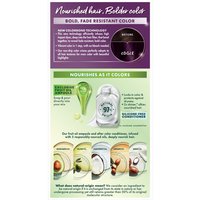 Back of pack of Nutrisse Ultra Color P2 – Intense Purple