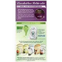 Back of pack of Nutrisse Ultra Color V2 – Dark Intense Violet