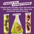 Garnier Nutrisse's Triple Oil Conditioner, infused with avocado, olive, and shea for smooth, silky, and protected hair. Test tubes containing each oil are displayed.
