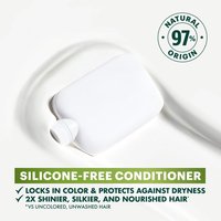 Silicone-free conditioner that provides nourishment