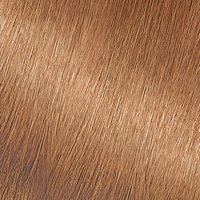 Dark Golden Blonde Hair Color Nourishing Color Creme - Garnier