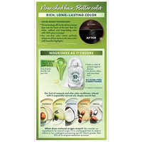 Black Color Silicone Free Color Conditioner - Garnier