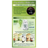 Black Color Silicone Free Color Conditioner - Garnier