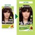 Dark Brown Hair Color Before After Nutrisse Nourish Permanent Color Grey coverage - Garnier