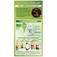 Deep Chestnut Brown Silicone Free Color Conditioner - Garnier