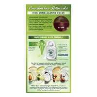 Rich Auburn Silicone Free Color Conditioner - Garnier