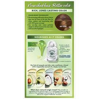 Light Golden Brown Hair Silicone Free Color Conditioner - Garnier