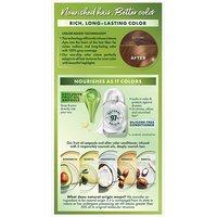 Dark Golden Blonde Silicone Free Color Conditioner - Garnier