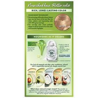 Light Natural Blonde Silicone Free Color Conditioner - Garnier