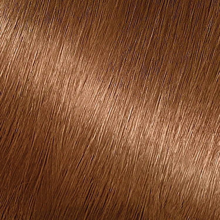 Light Golden Brown Hair Shiny effect - Garnier