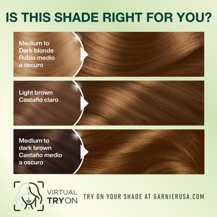 Light Golden Brown Hair Medium to Dark Brown Light Brown Medium to Light Brown - Garnier