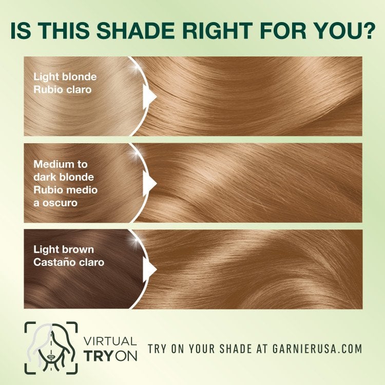 Medium Natural Blonde Hair Color Light Blonde Medium to Dark Blonde Light Brown - Garnier