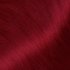 Sample of colored hair using the Olia 6.65 shade