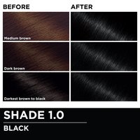 Before and after hair swatches demonstrating the color transformation using Garnier Olia
