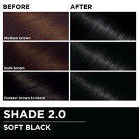 Before and after hair swatches demonstrating the color transformation using Garnier Olia