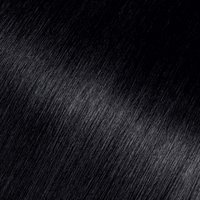 Close-up swatch of Garnier Olia