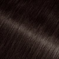 Close-up swatch of Garnier Olia