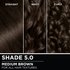Hair swatches displaying Garnier Olia on straight, wavy, and curly hair textures.