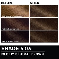 Before and after hair swatches demonstrating the color transformation using Garnier Olia