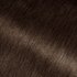 Close-up swatch of Garnier Olia