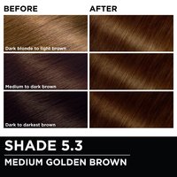 Before and after hair swatches demonstrating the color transformation using Garnier Olia
