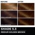Before and after hair swatches demonstrating the color transformation using Garnier Olia