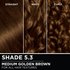 Hair swatches displaying Garnier Olia on straight, wavy, and curly hair textures.