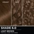 Hair swatches displaying Garnier Olia on straight, wavy, and curly hair textures.