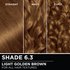 Hair swatches displaying Garnier Olia on straight, wavy, and curly hair textures.