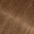 Close-up swatch of Garnier Olia